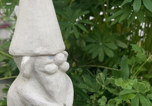 hagenisse med penger foran